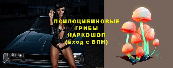дмт Алексин